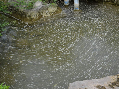 深圳水質(zhì)檢測 深圳水質(zhì)檢測