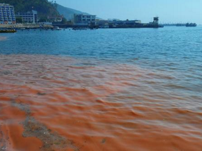 深圳水質(zhì)檢測機構(gòu) 深圳水質(zhì)檢測機構(gòu)