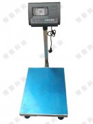 300����Q�������U����_��