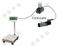 100kg����_�ӎ�4-20������̖ݔ��